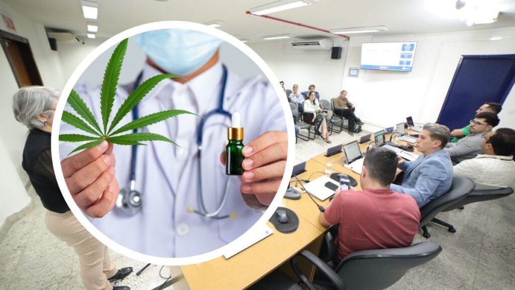 Cannabis Medicinal: Debate em Joinville Pressiona o Poder Público por Acesso e Tratamento Eficiente