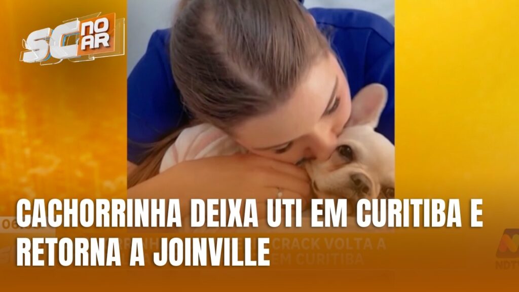 Cachorrinha Antonieta Retorna a Joinville Após Alta da UTI