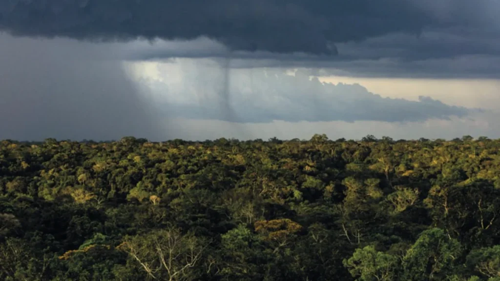 Mudanças Climáticas e Desmatamento Tornam Chuvas na Amazônia Mais Vulneráveis até 2050 Mudanças Climáticas e Desmatamento Tornam Chuvas na Amazônia Mais Vulneráveis até 2050