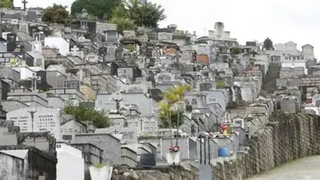 Superlotação nos Cemitérios de Joinville Pressiona Expansão e Regras Ambientais Superlotação nos Cemitérios de Joinville Pressiona Expansão e Regras Ambientais