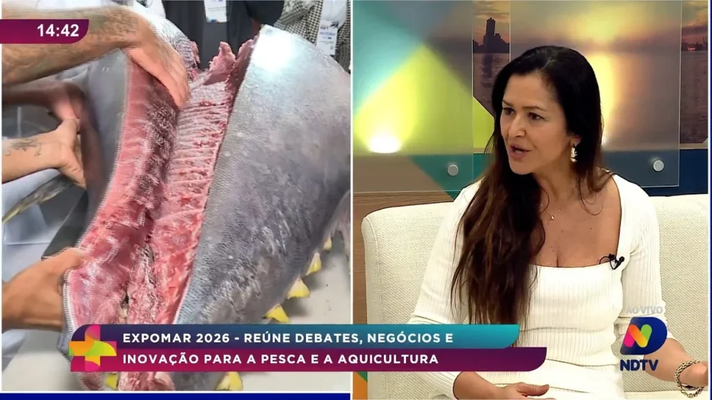 Expomar 2026: Inovação e Oportunidades para o Setor Pesqueiro em Itajaí