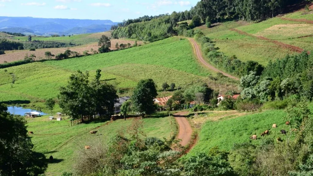 Santa Catarina libera R$ 12 milhões em crédito fundiário para 41 famílias rurais Santa Catarina libera R$ 12 milhões em crédito fundiário para 41 famílias rurais