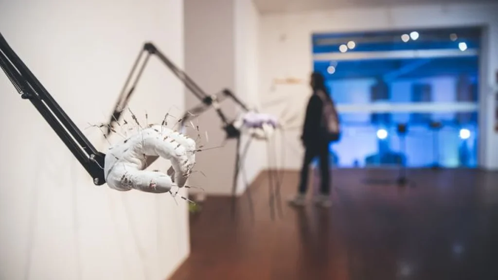 Museu de Arte de Blumenau promove Texneo Novum Festival com arte e tecnologia Museu de Arte de Blumenau promove Texneo Novum Festival com arte e tecnologia