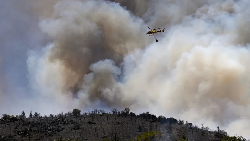 Incêndios Florestais na Europa Devastam Mais de 17 Mil Hectares em Meio a Calor Extremo Incêndios Florestais na Europa Devastam Mais de 17 Mil Hectares em Meio a Calor Extremo
